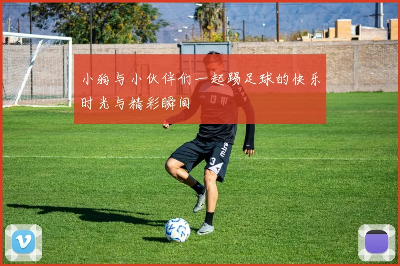 小狗与小伙伴们一起踢足球的快乐时光与精彩瞬间