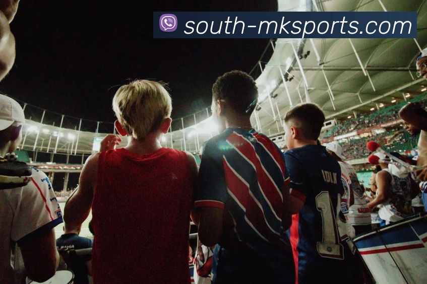 mk体育平台生态图